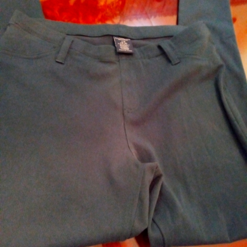 Faded Glory Jeggings